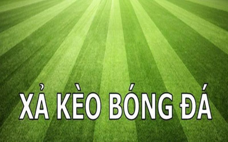 Cẩm Nang Xả Kèo Trong Bóng Đá Hiệu Quả: Chinh Phục Mọi Kèo Đấu