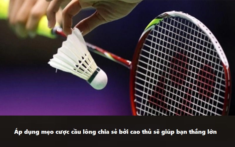 Hướng Dẫn Cá Cược Cầu Lông Tại 789BET Chi Tiết Cho Tân Binh