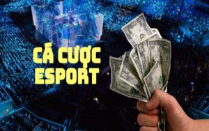 Tham Gia Cá Cược ESports - Trải Nghiệm Ngay Nhận Thưởng Liền