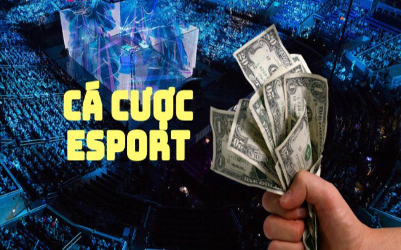 Tham Gia Cá Cược ESports - Trải Nghiệm Ngay Nhận Thưởng Liền